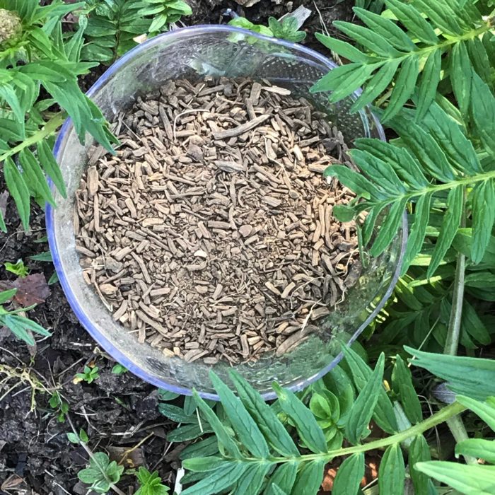 Organic Valerian Root Vegan Capsules x 30