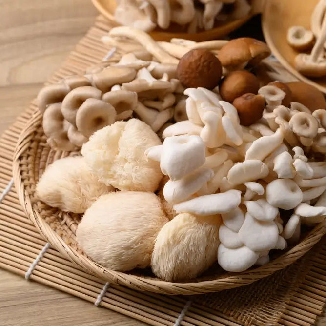 Pure Lions Mane Capsules x 30